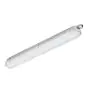 Philips Pantalla LED Estanca CoreLine WT120C 44W 6000lm - 840 Blanco Frio | 150cm - 1x Cableado De Paso 