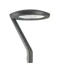 Philips Lamparas LED para calles CitySoul Gen2 Lyre BPP532 46W 4920lm 50D - 830 Luz Cálida | IP66 - Dali Regulable