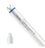 Philips Tubo LED T8 MASTER (EM/Mains) High Output 8W 1000lm - 830 Luz Cálida | 60cm - Reemplazo 18W