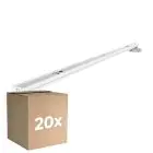 Multipack 20x Noxion Pantalla Click LED T8 | Apta Para 2x60cm Tubo LED